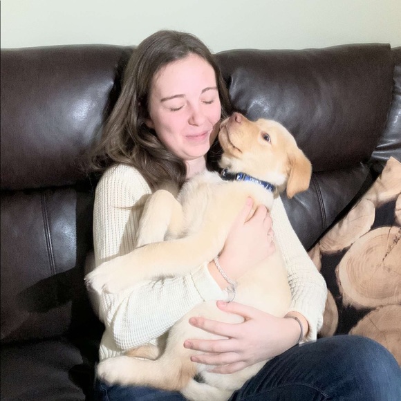 Meet your Posher, Bailey - Picture 1 of 1